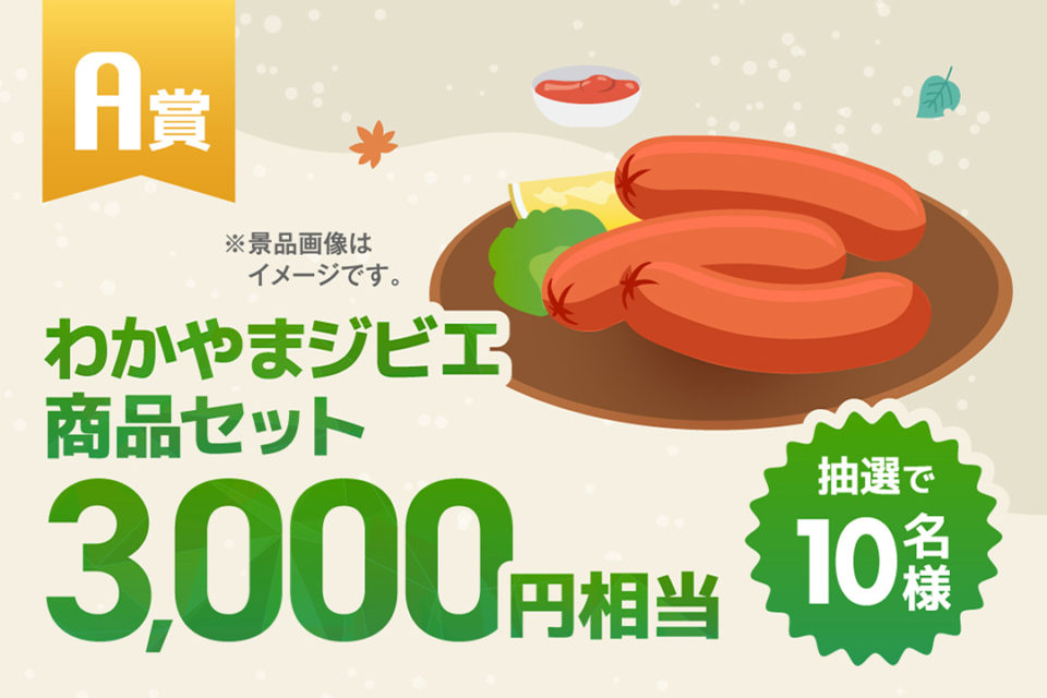 A賞 わかやまジビエ商品セット 3,000円相当 抽選で10名様