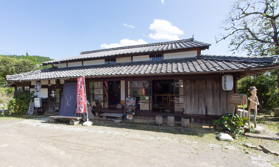 小鳥の樹の2枚目