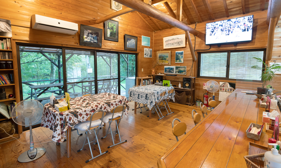 一雨のつくしの2枚目