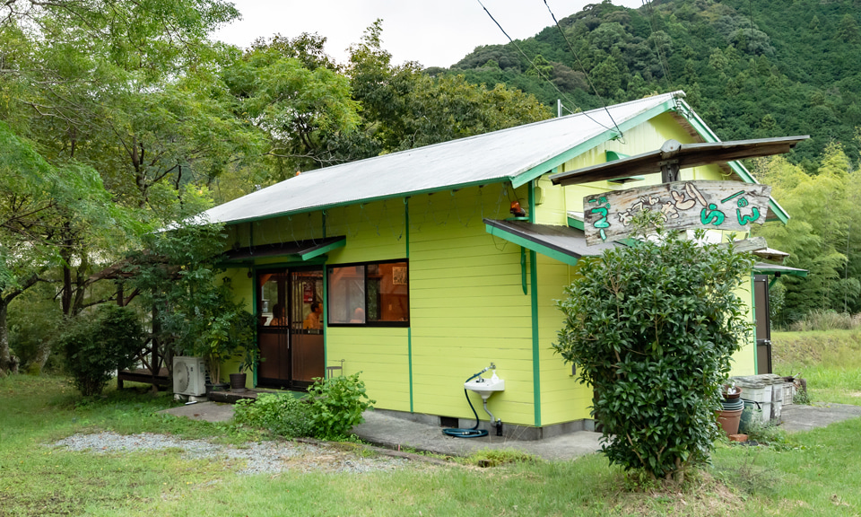 一雨のつくしの3枚目