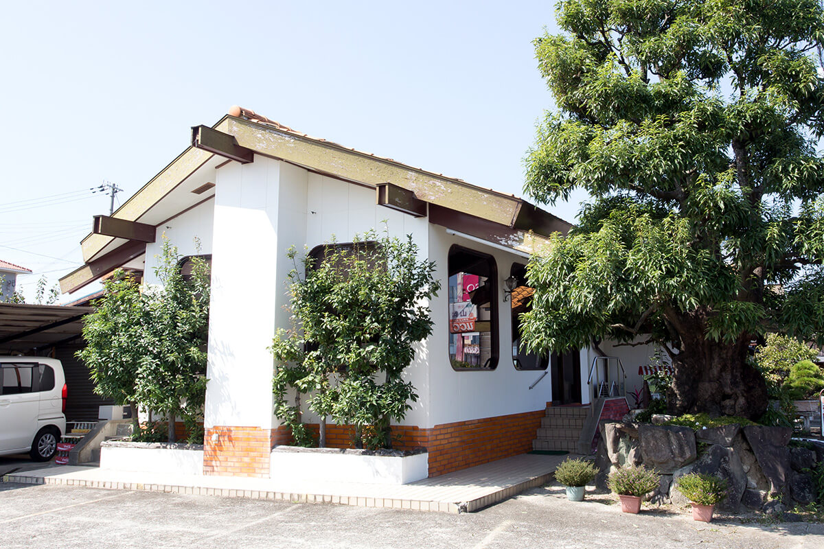 <?php the_title(); ?>