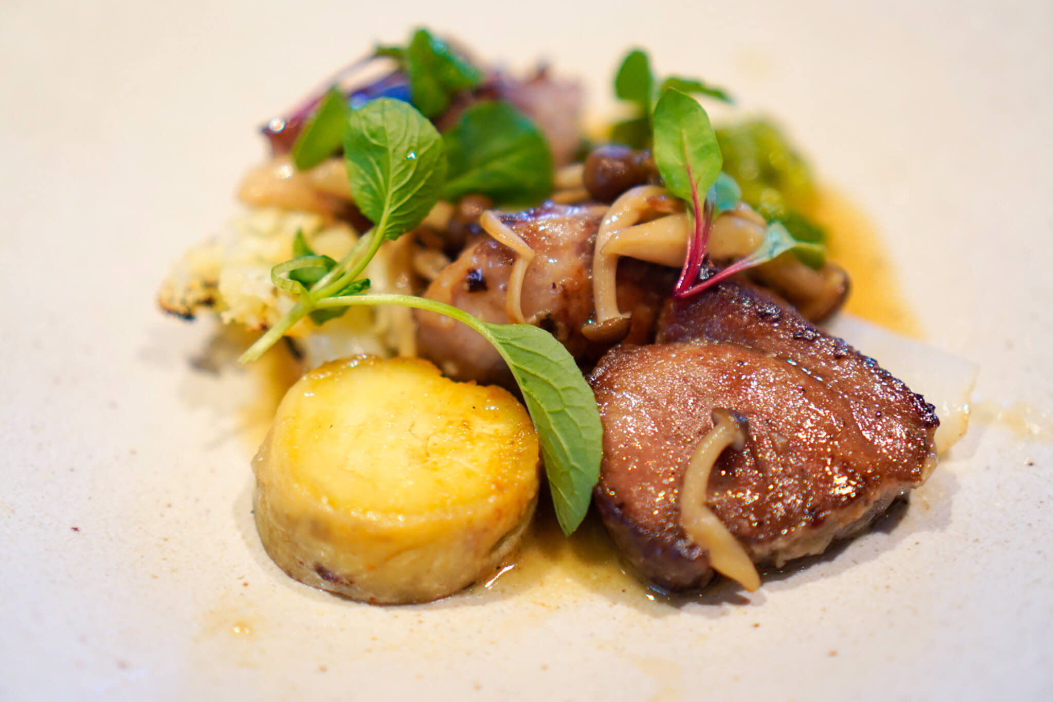 <?php the_title(); ?>