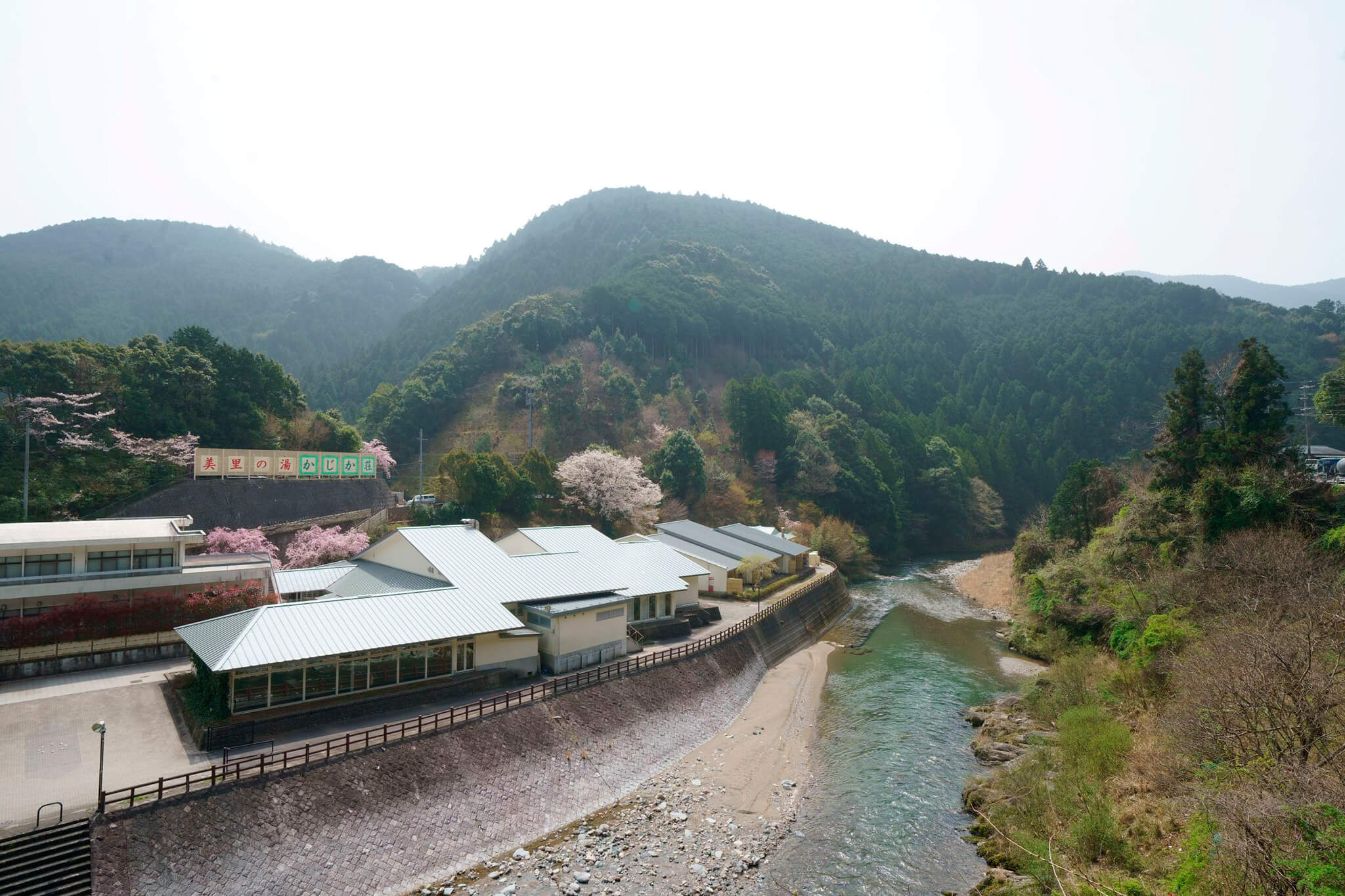 <?php the_title(); ?>