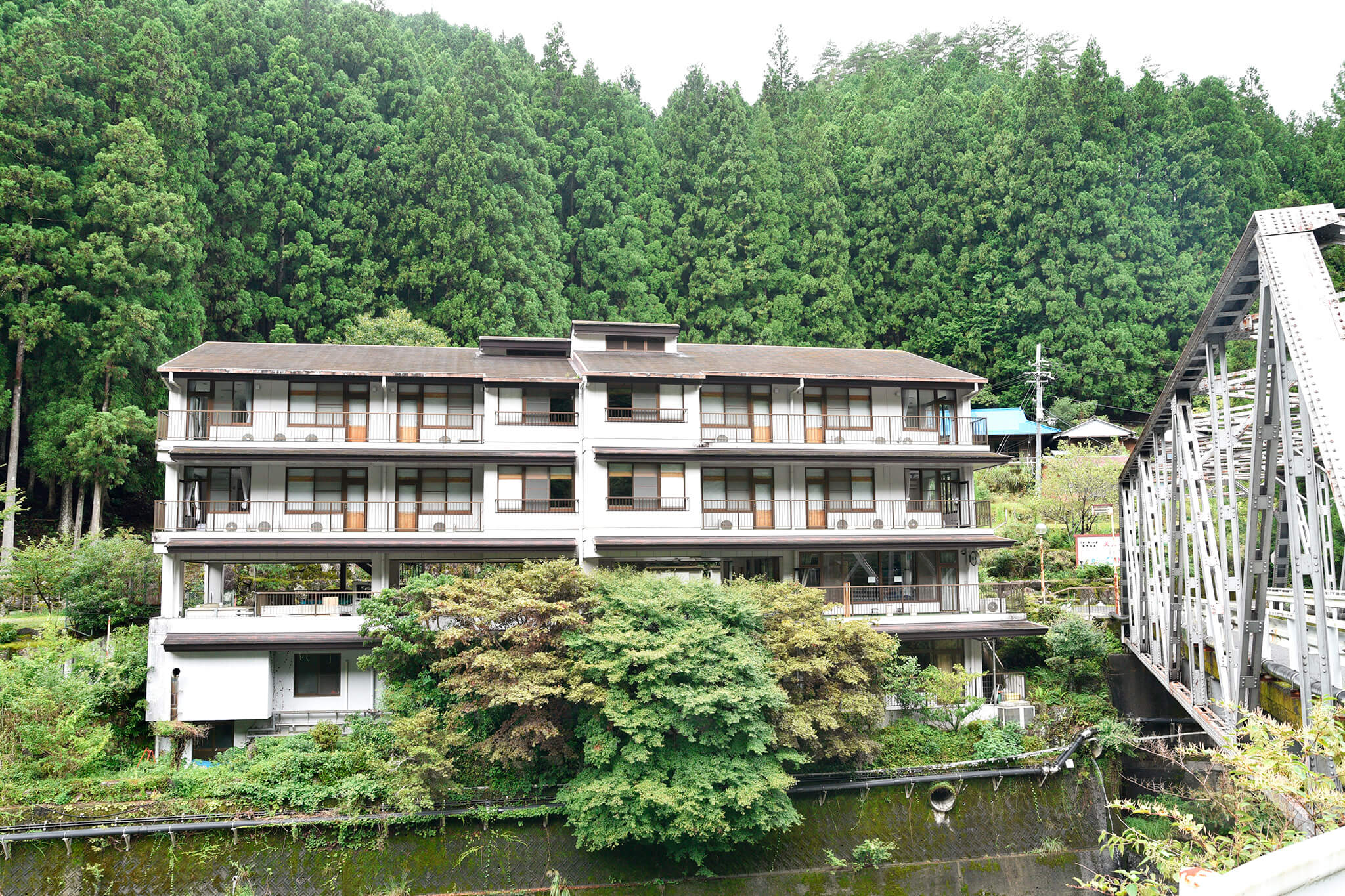 <?php the_title(); ?>