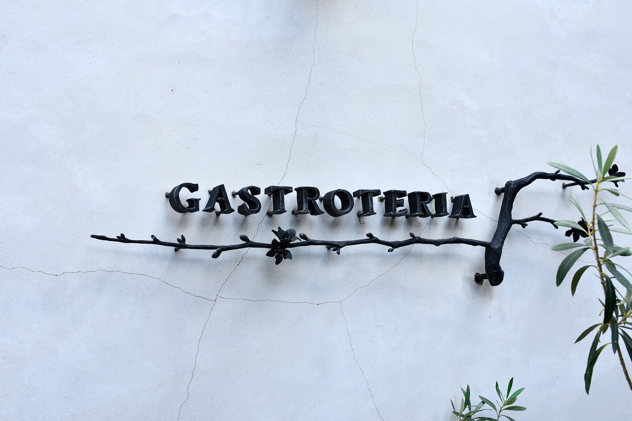 <?php the_title(); ?>