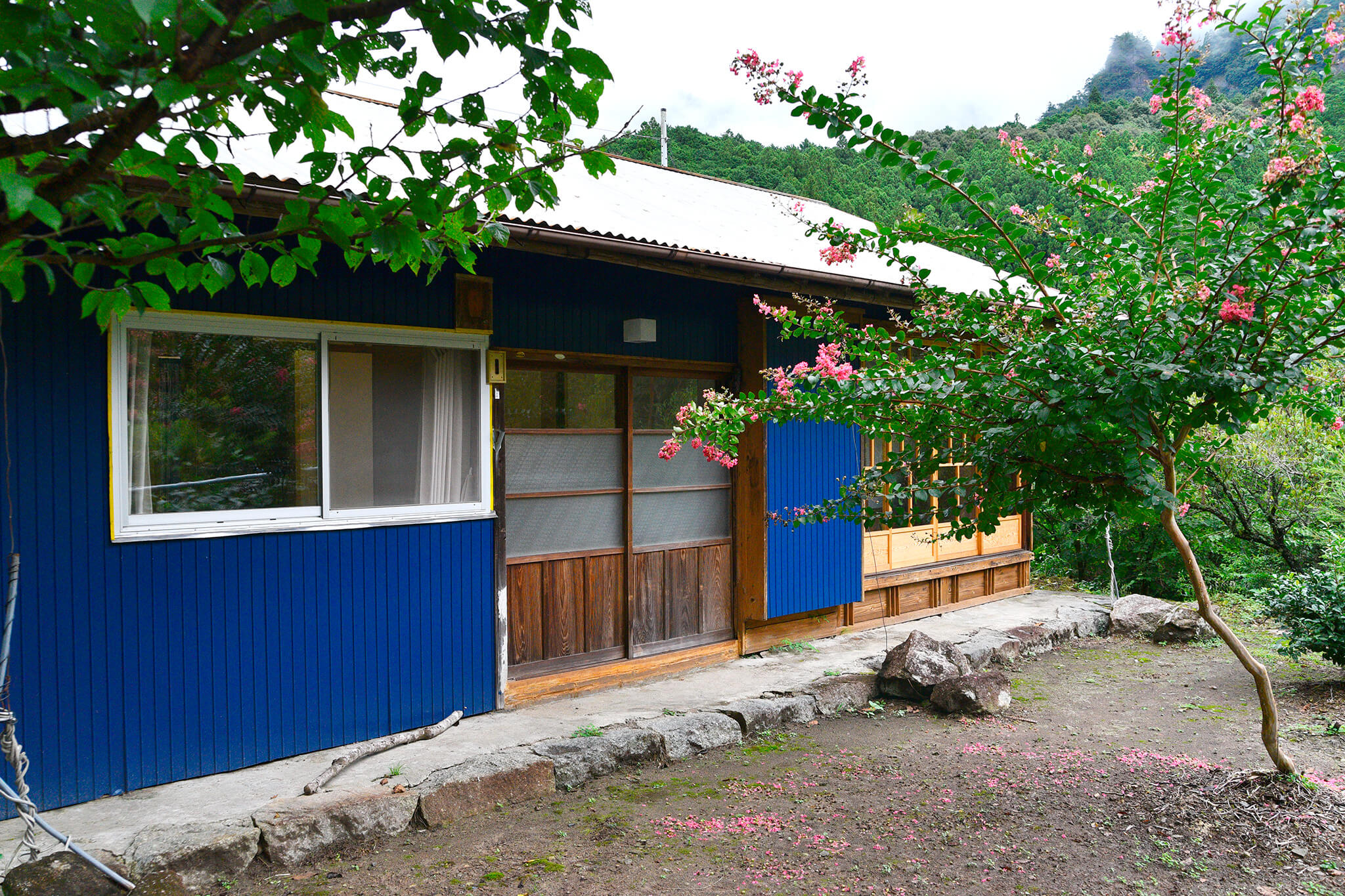 <?php the_title(); ?>