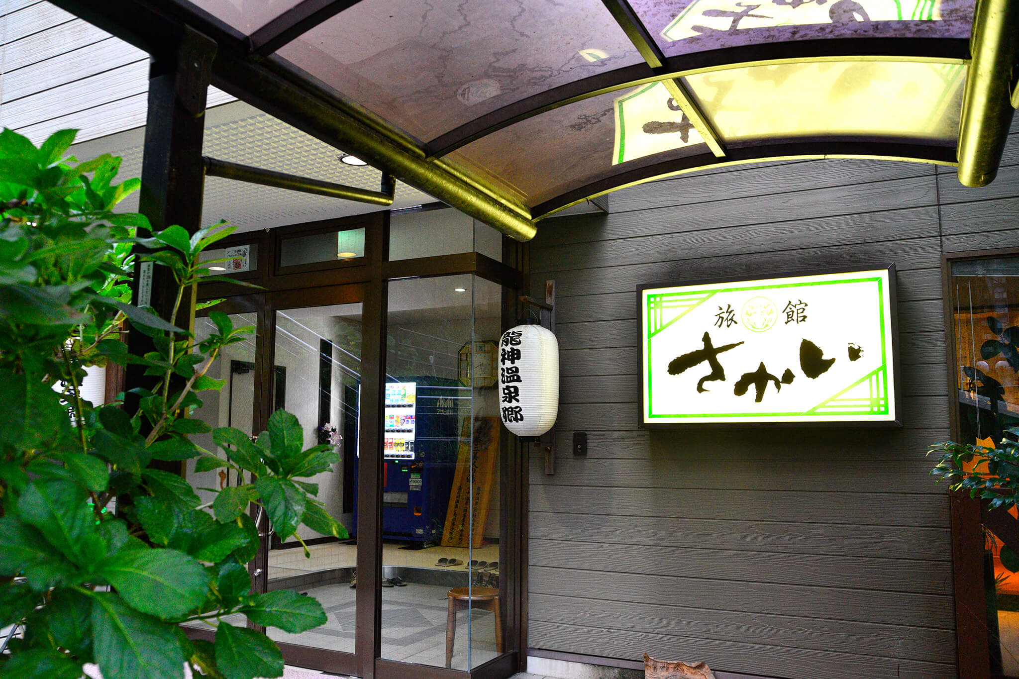 <?php the_title(); ?>