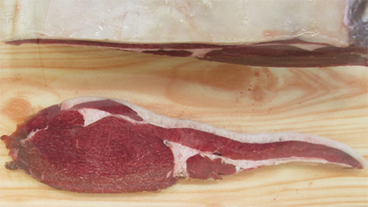 脂肪があるもの