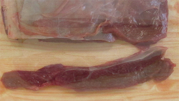 脂肪がないもの