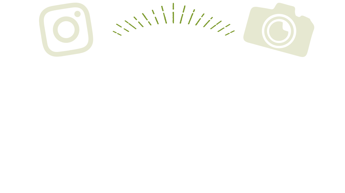 WAKAYAMA GIBIER FESTA わかやまジビエフェスタ 2021.12.1-2022.02.28